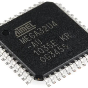 Integrated Circuits (ICs)